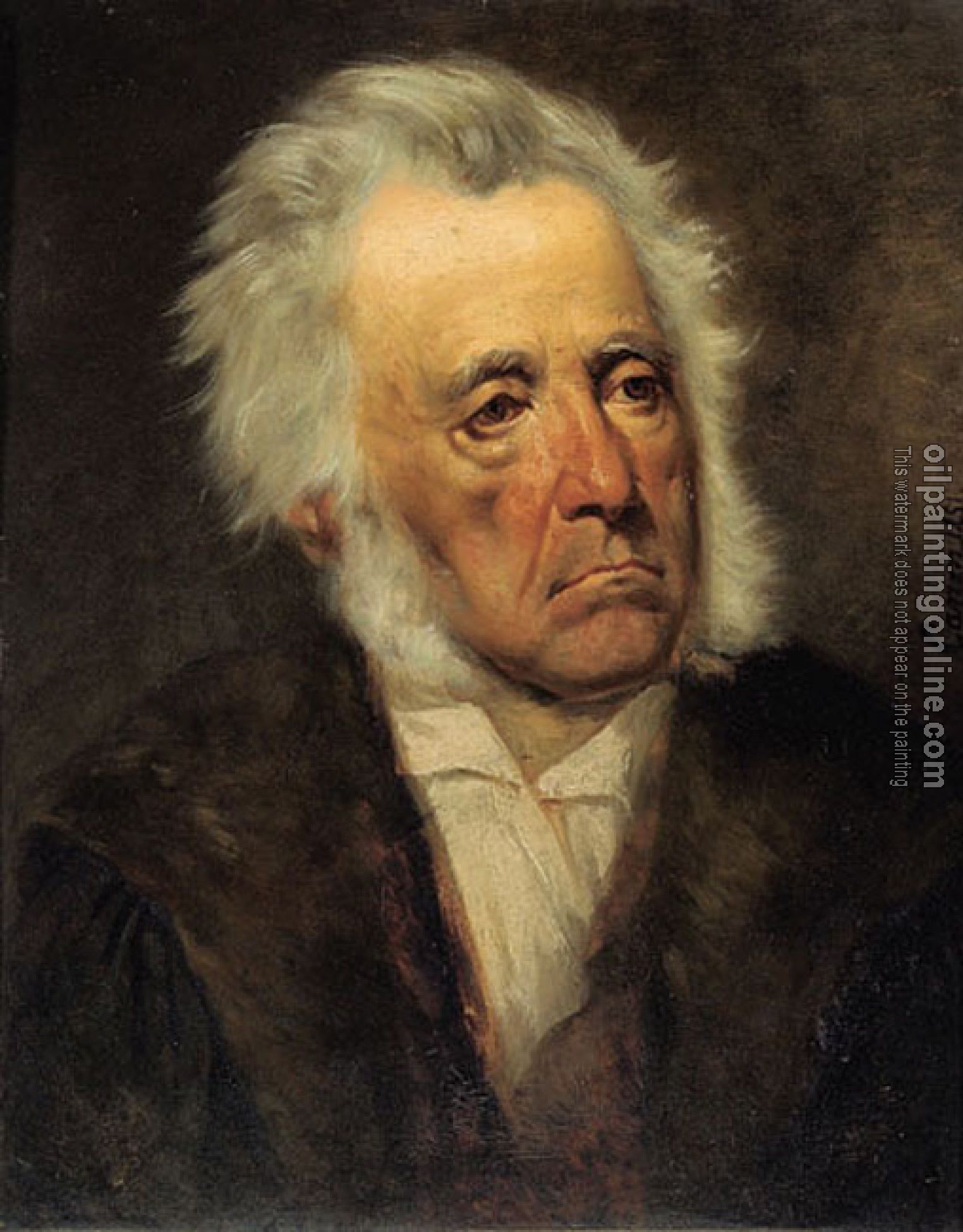Canon Hans - portrait of arthur schopenhauer